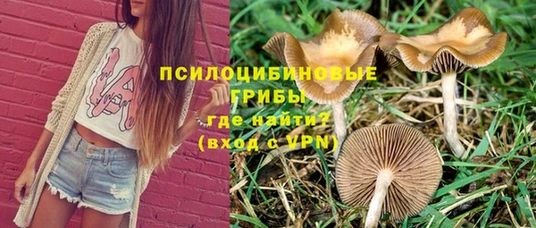 прущие грибы Аркадак