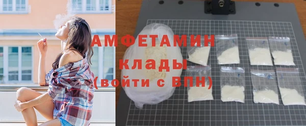 прущие грибы Аркадак