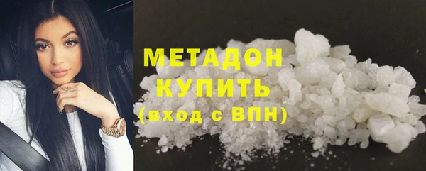 прущие грибы Аркадак