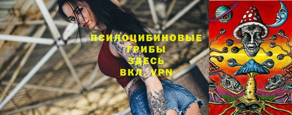 прущие грибы Аркадак